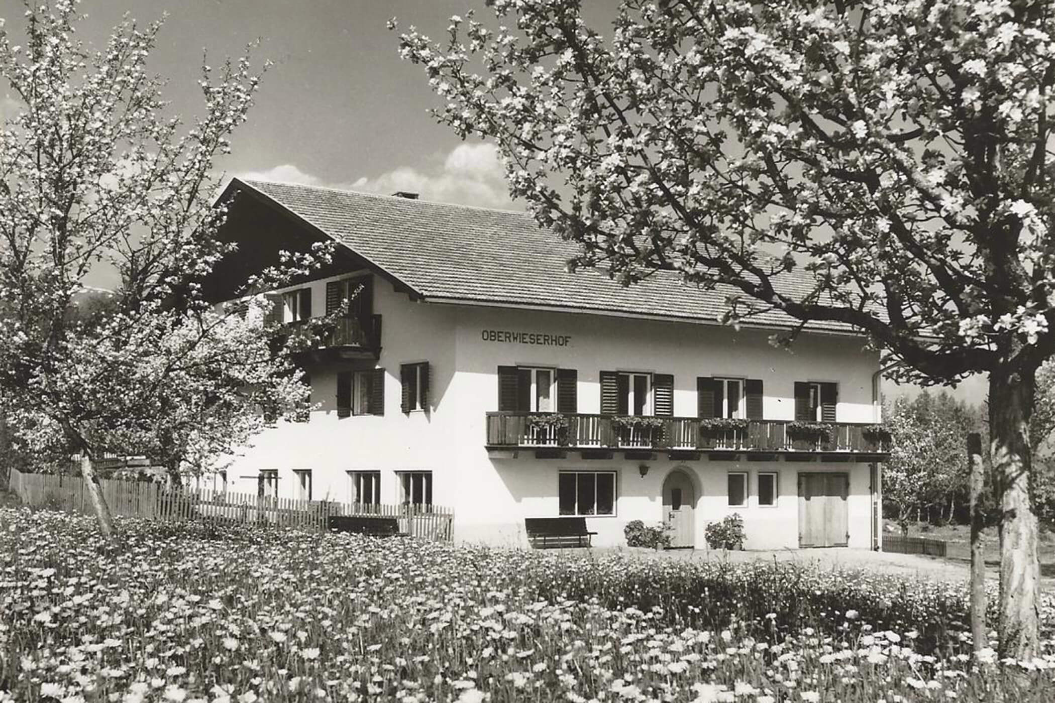 Schwarz-Weiß-Foto eines Hauses mit Balkonen, umgeben von blühenden Bäumen und einer Wiese. - Hotel Oberwiesen